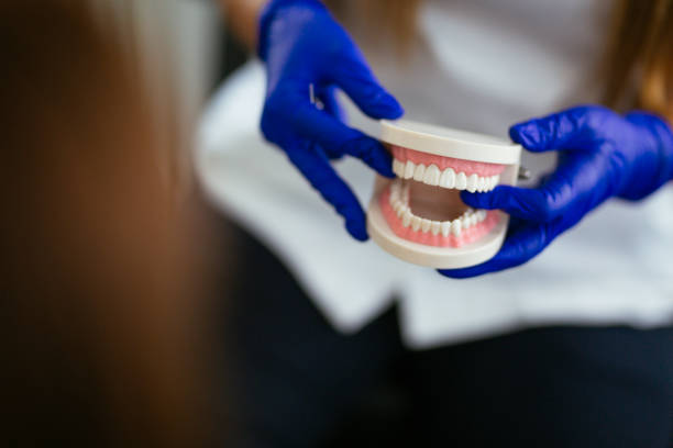 Best Root Canal Treatment  in Florence, AL
